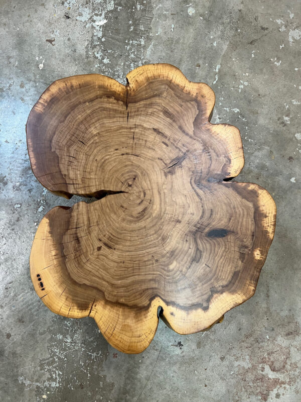 Coffee Table in Olmo
